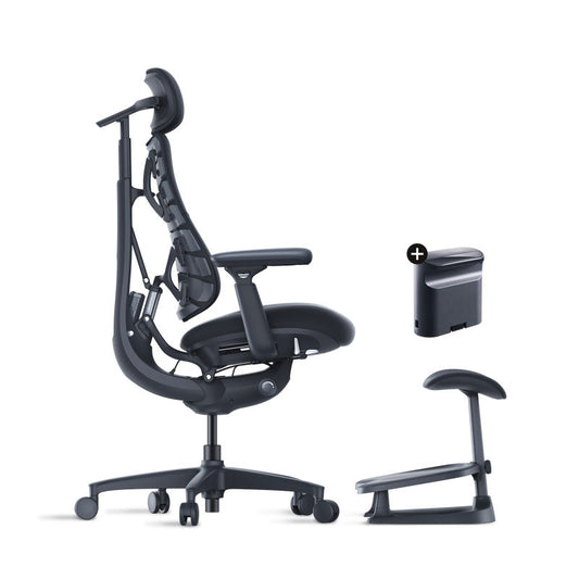 Roomify Dynamic Ergonomic Chair (Pro Bundle)
