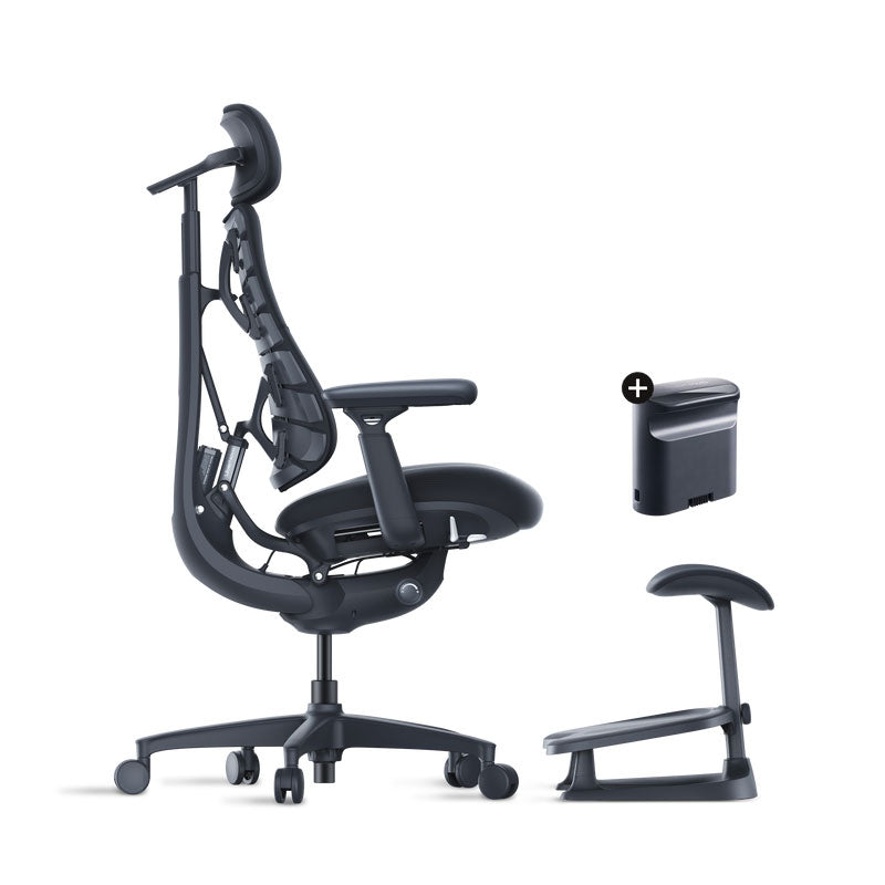 Roomify Dynamic Ergonomic Chair (Pro Bundle)